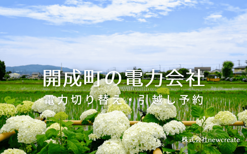 【開成町の電力会社情報】引越し予約・電力会社切り替え