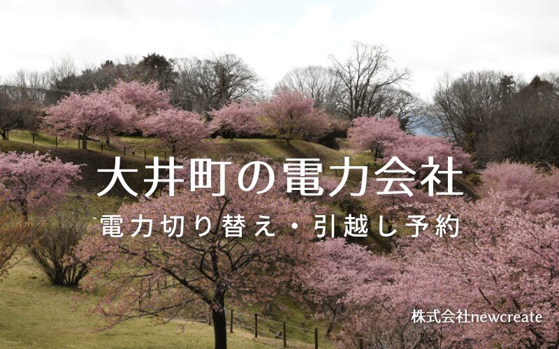 【神奈川県大井町の電力会社情報】引越し予約・電力会社切り替え