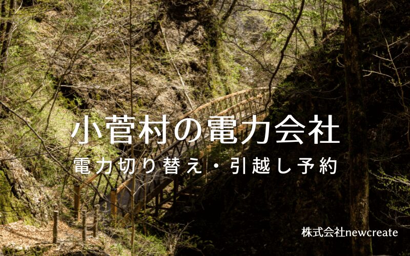 小菅村で失敗しない電力会社の選び方と申込手順|料金プラン&サービス比較