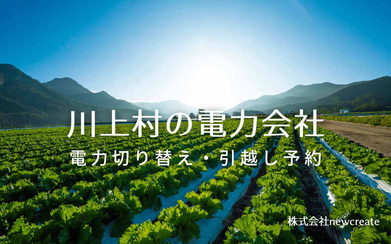 長野県川上村で失敗しない電力会社の選び方と申込手順|料金プラン&サービス比較