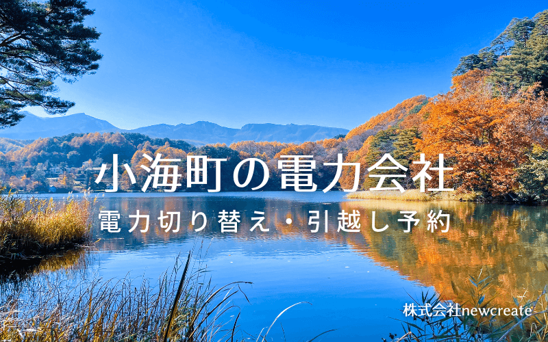 小海町で失敗しない電力会社の選び方と申込手順|料金プラン&サービス比較