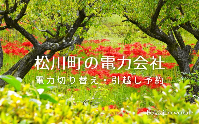 松川町で失敗しない電力会社の選び方と申込手順|料金プラン&サービス比較