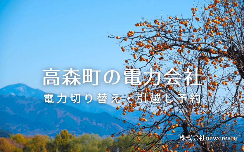 長野県高森町で失敗しない電力会社の選び方と申込手順|料金プラン&サービス比較