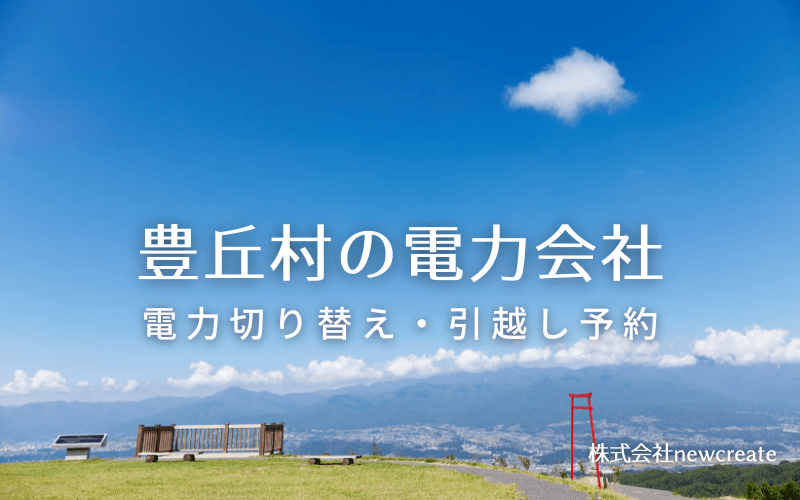 豊丘村で失敗しない電力会社の選び方と申込手順|料金プラン&サービス比較