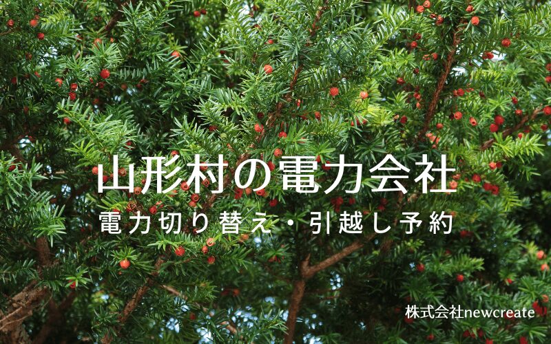 山形村で失敗しない電力会社の選び方と申込手順|料金プラン&サービス比較