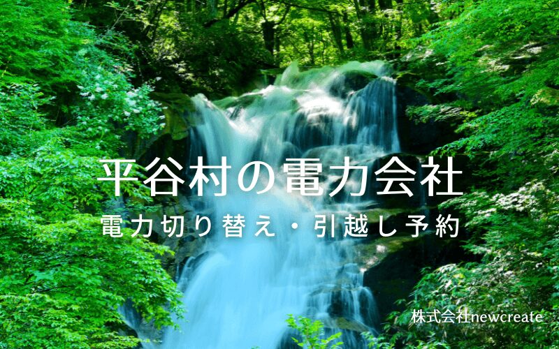 平谷村で電気代を節約！引越し先の電力予約・新電力へ切替え