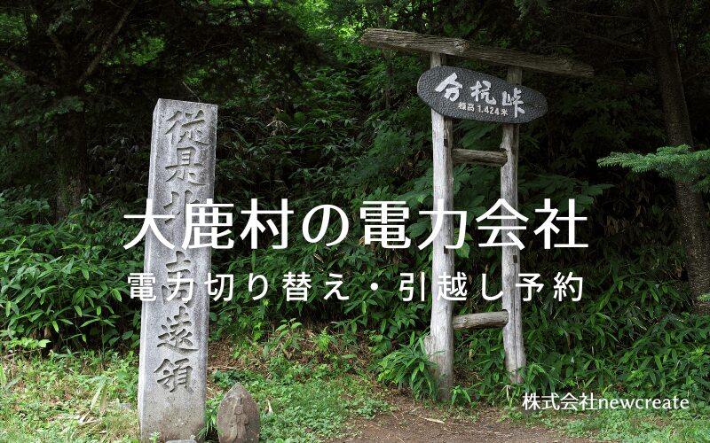 大鹿村で電気代を節約！引越し先の電力予約・新電力へ切替え