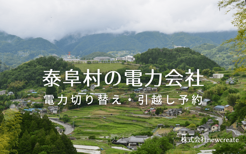 泰阜村で電気代を節約！引越し先の電力予約・新電力へ切替え