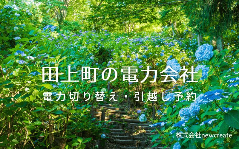 田上町で電気代を節約！引越し先の電力予約・新電力へ切替え