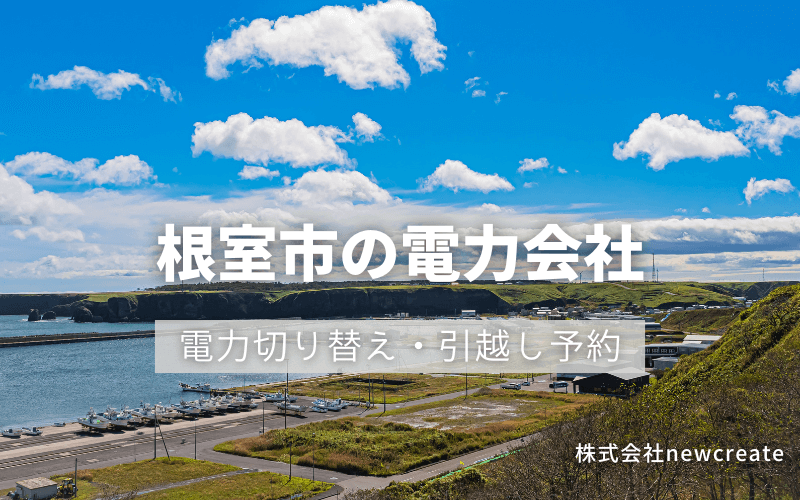 根室市の電力情報