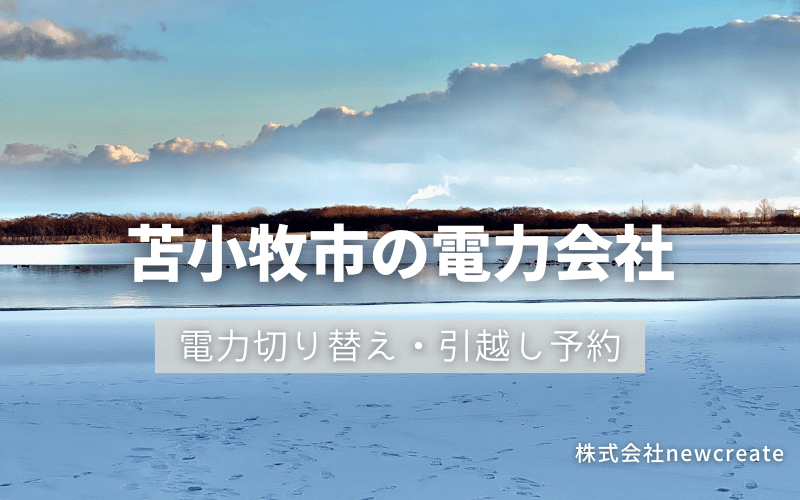 苫小牧市で電気代を節約！引越し先の電力予約・新電力へ切替え